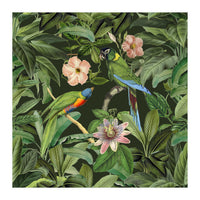 Exotic Jungle Birds (Print Only)
