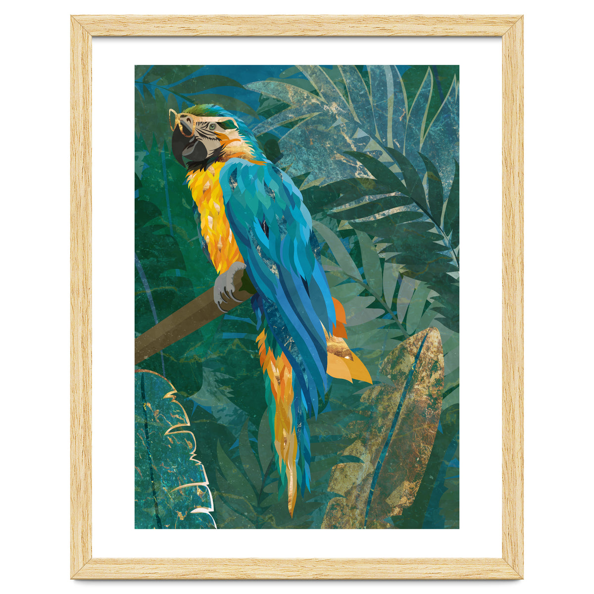 Macaw Meditation in the tropical jungle