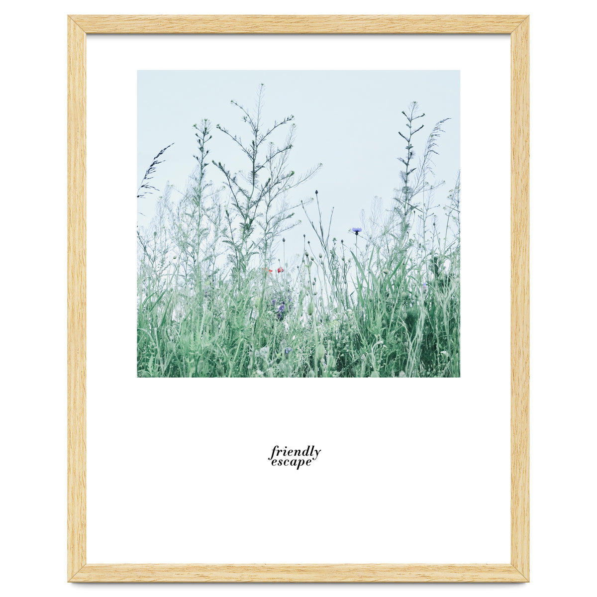 Friendly escape - Nature Photography -