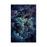 Spring (Print Only) thumbnail