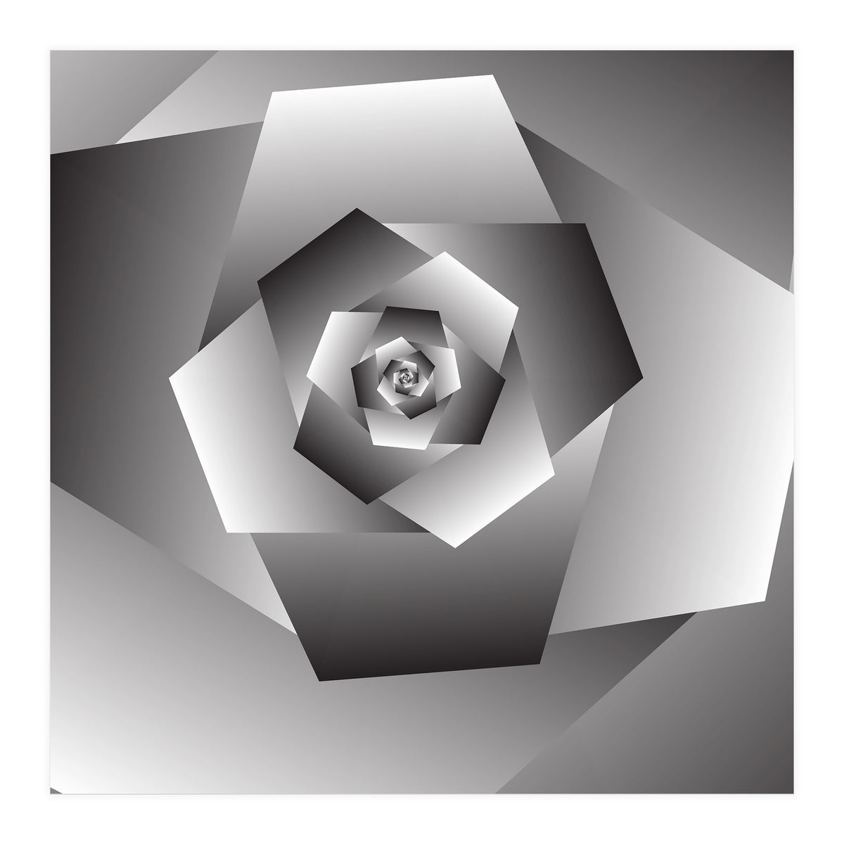 Monochrome Rose Spiral  (Print Only)