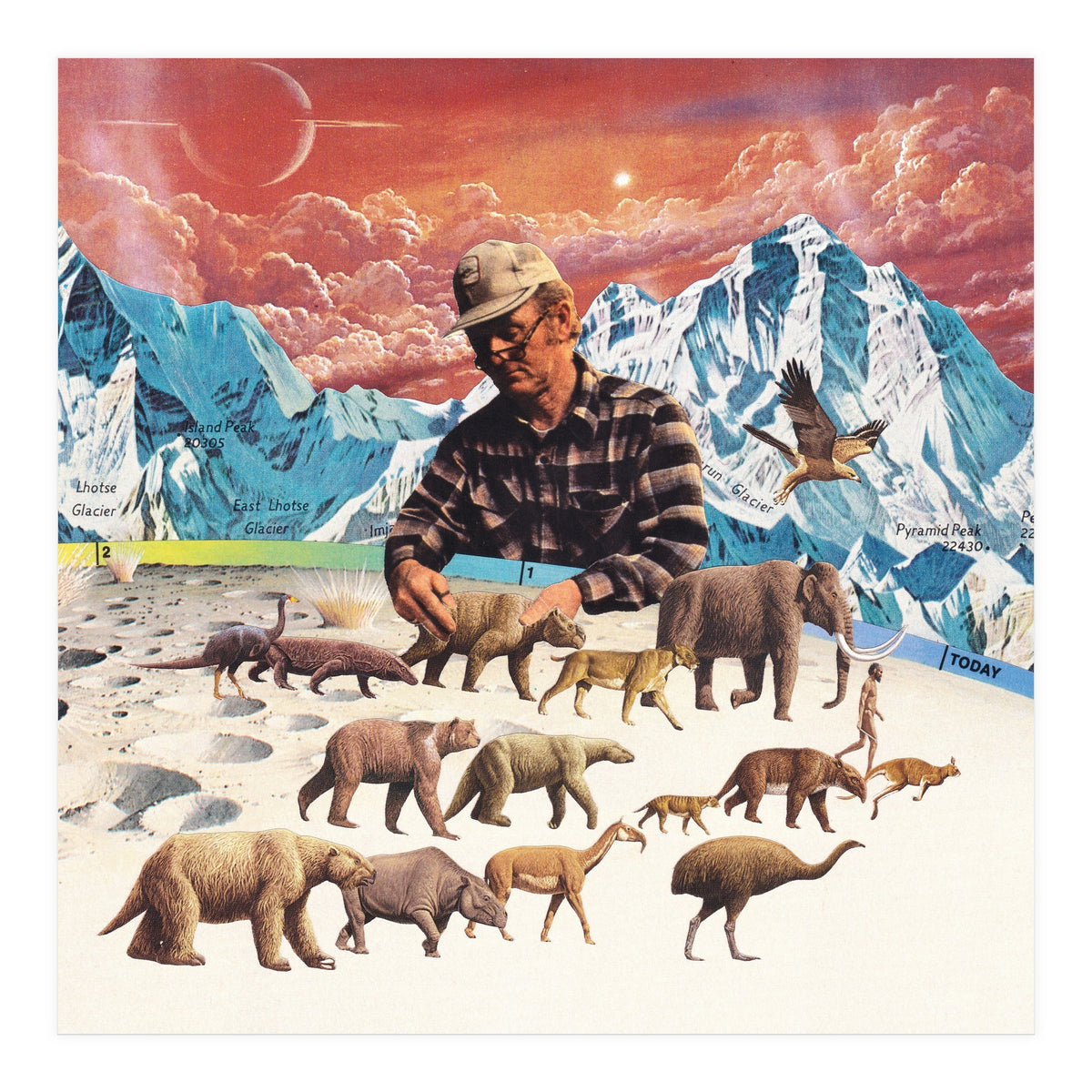 Evolution (Print Only)