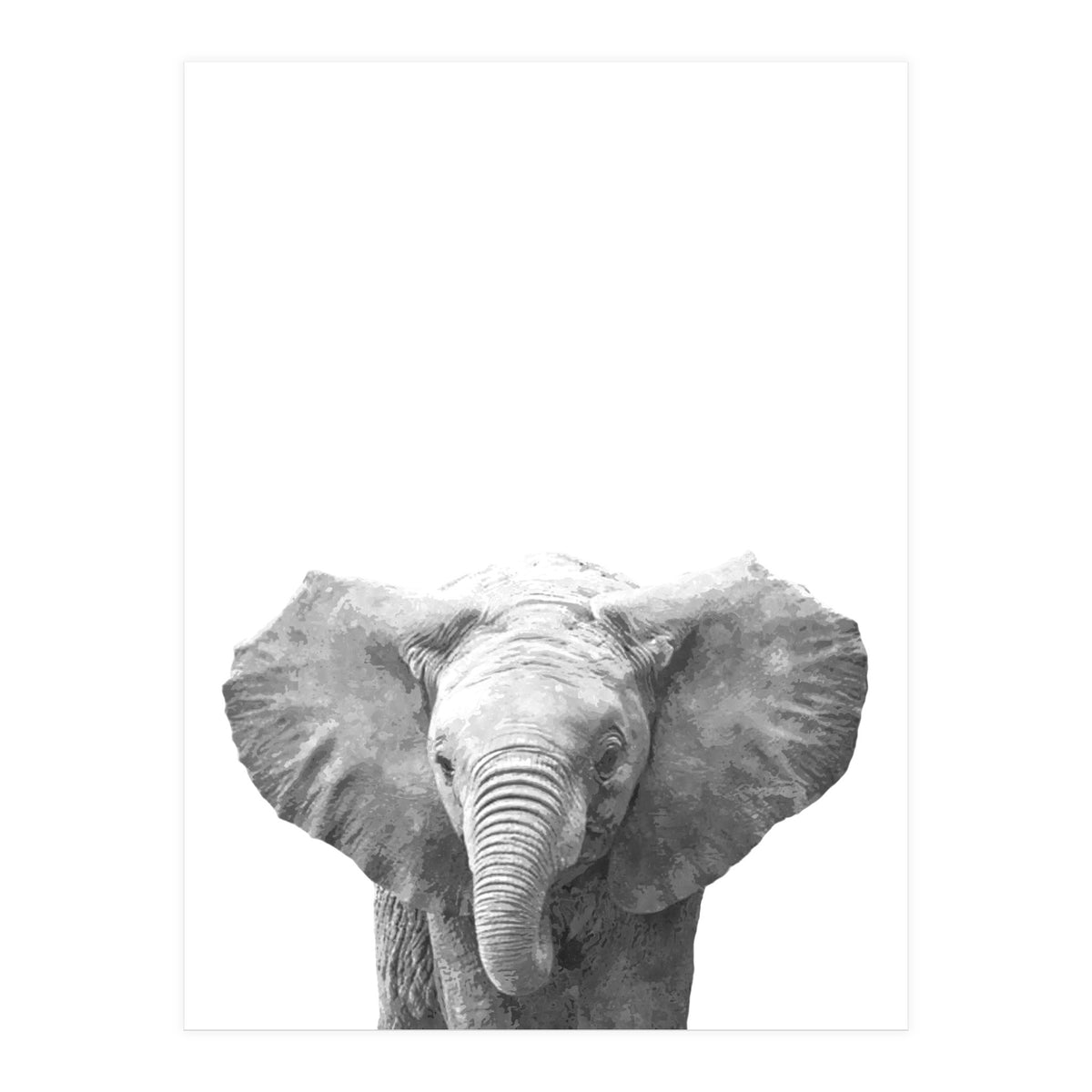 Black and White Baby Elephant  (Print Only)