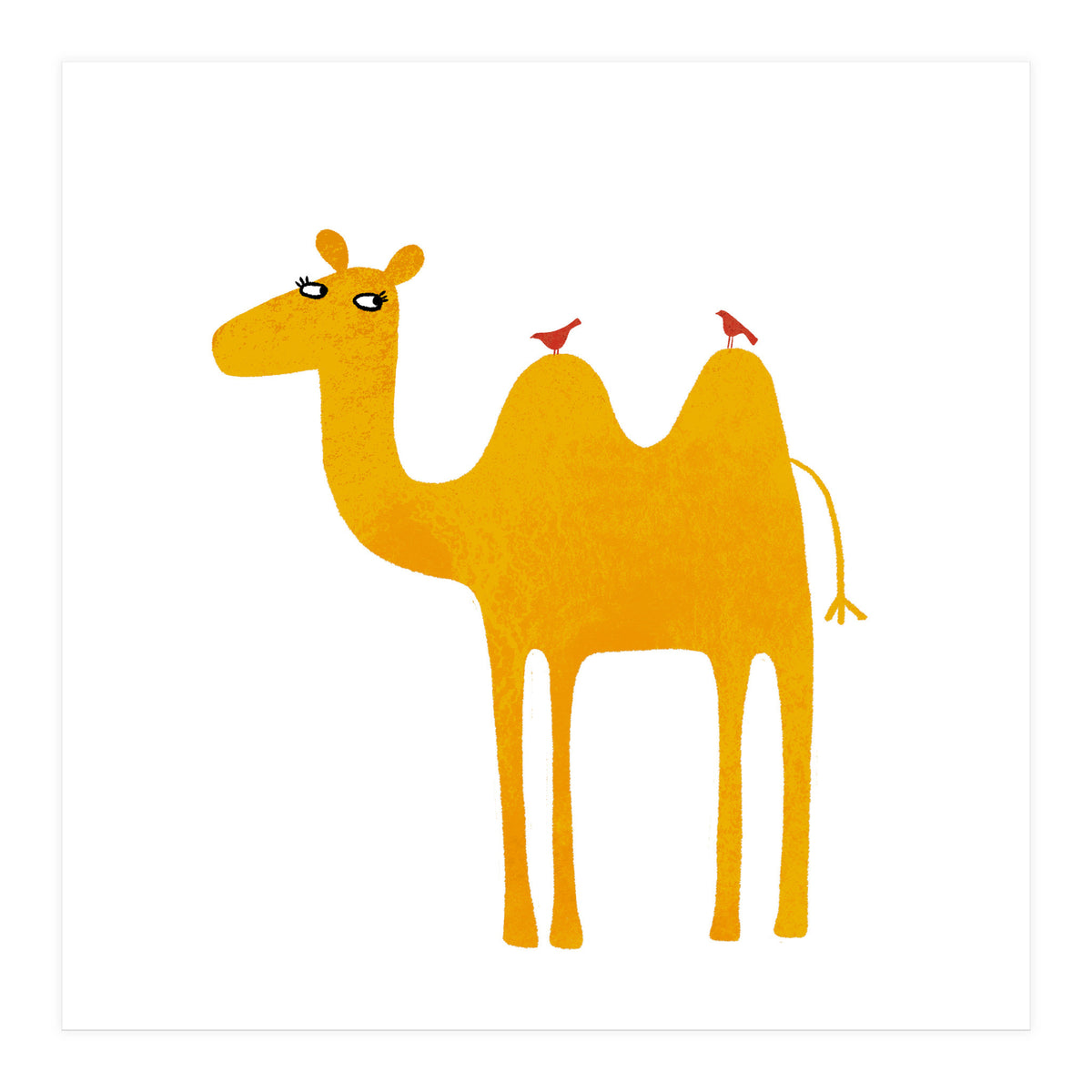 Camel (Print Only)