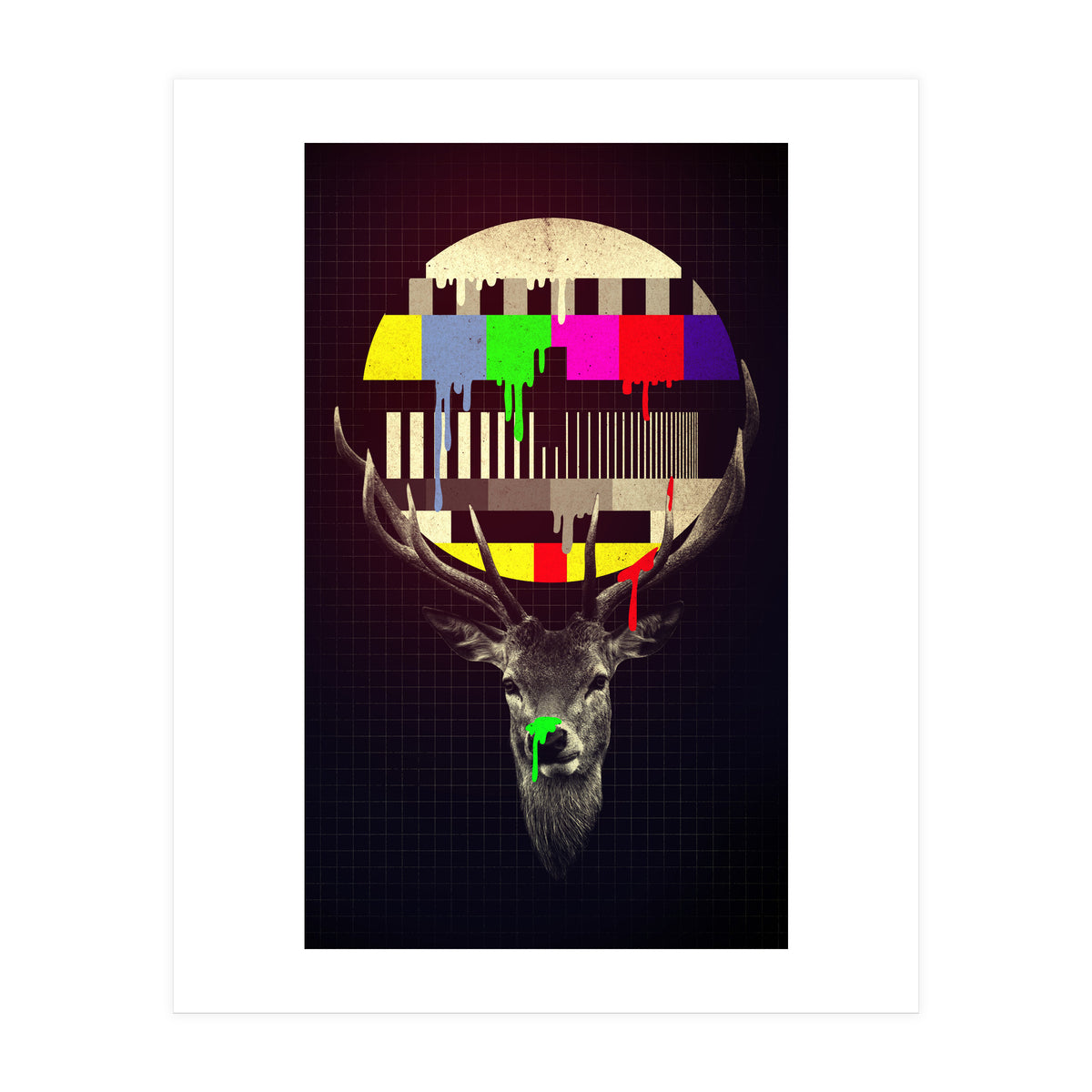 No Signal (Print Only)
