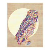 Owl (Print Only) thumbnail