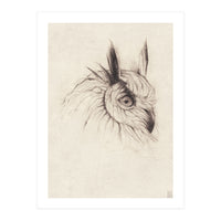 Owl (Print Only)