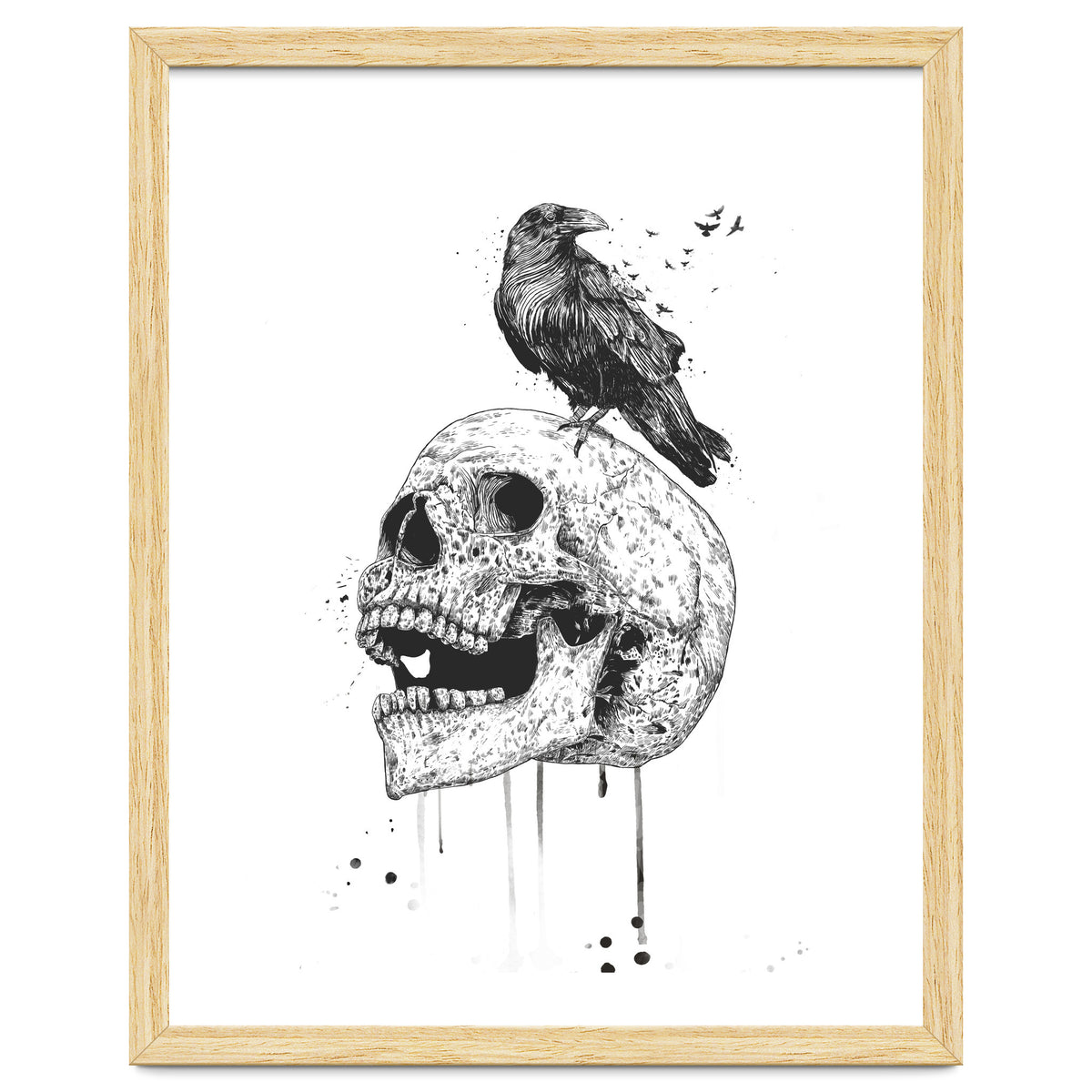 New Skull (bw)