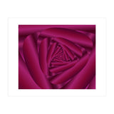Pink Color Rose Swirl Art (Print Only) thumbnail