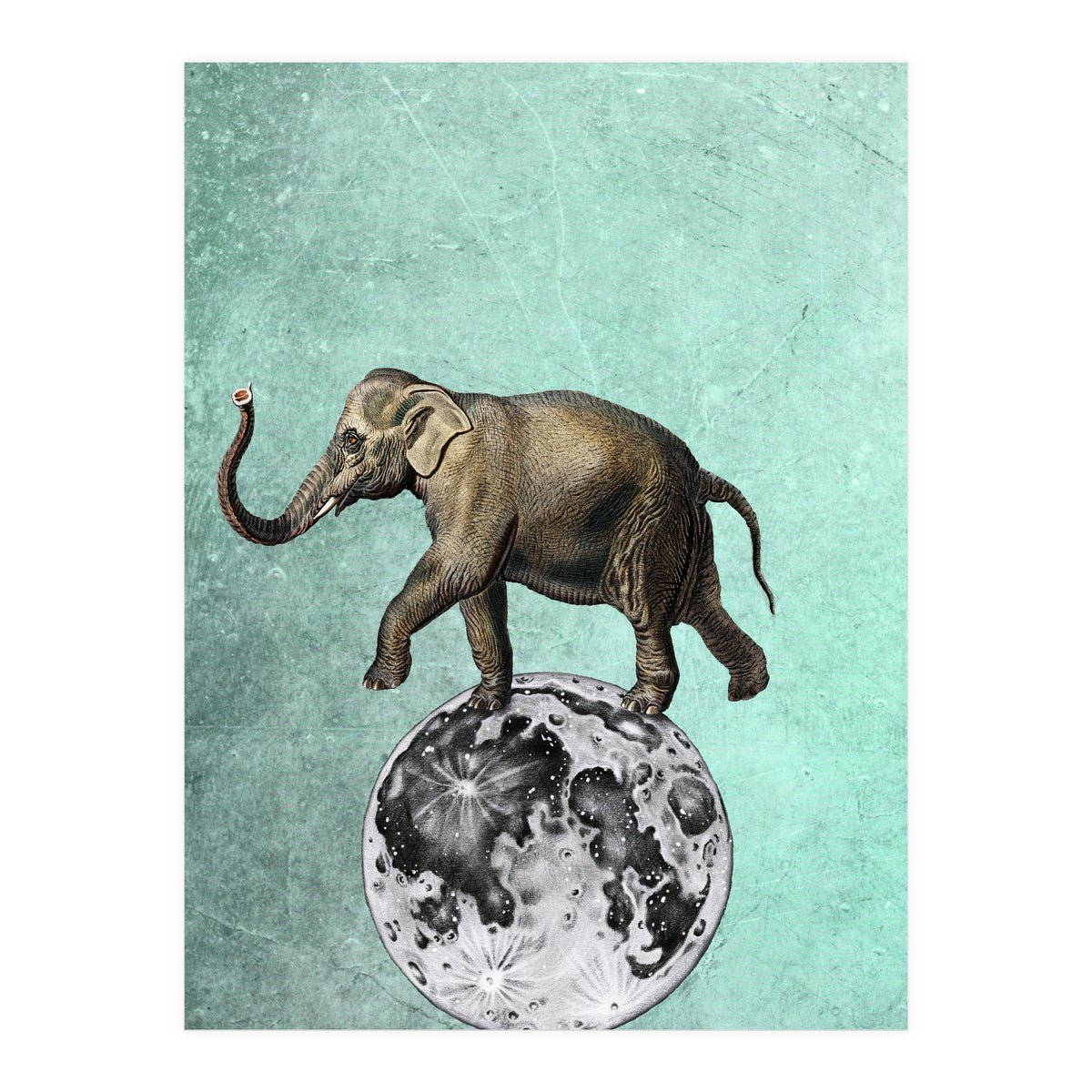elefante sul modo (Print Only)