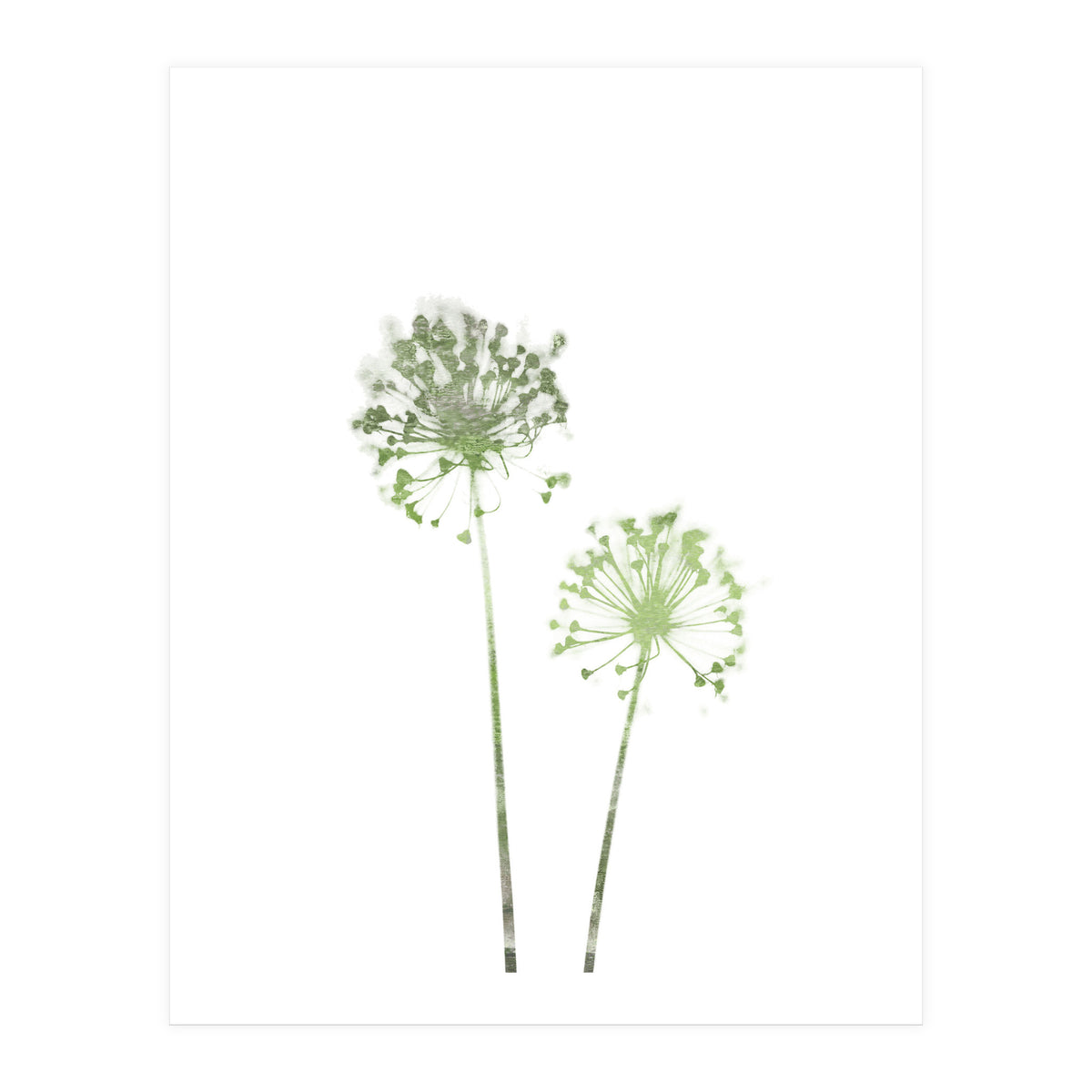Olive Green Dandelion (Print Only)
