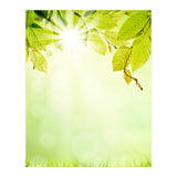 GREEN NATURE (Print Only) thumbnail