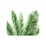 Palm Leaves (Print Only) thumbnail