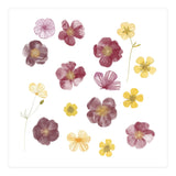Pressed Flowers (Print Only) thumbnail