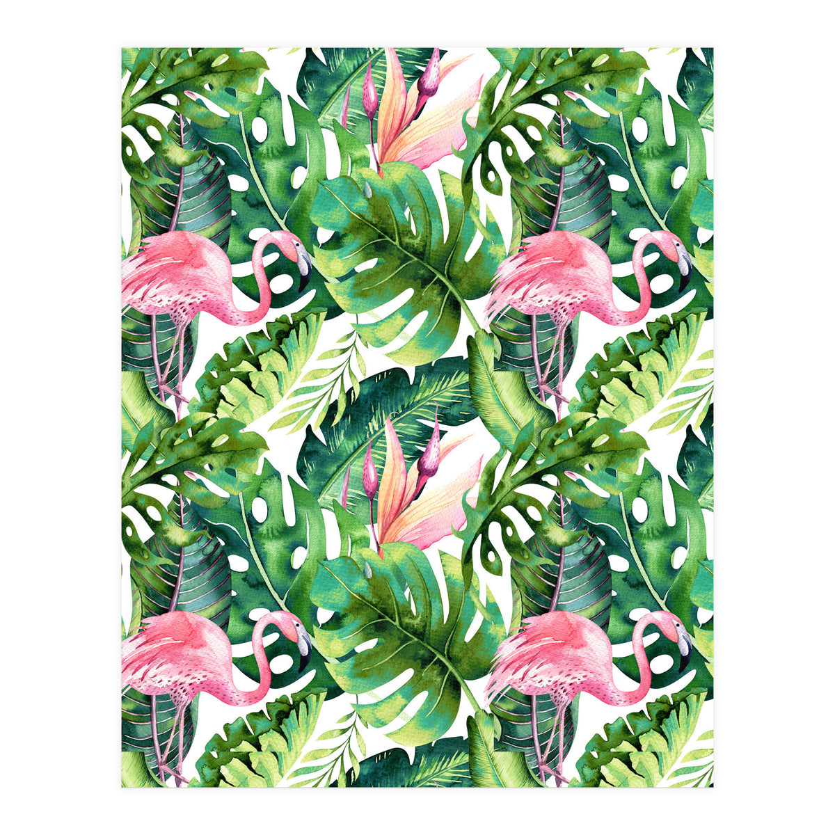 Flamingo Tropical II (Print Only)