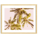 Blush Pink Boho Palm Trees thumbnail