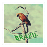 Eagle in Brazil (Print Only) thumbnail