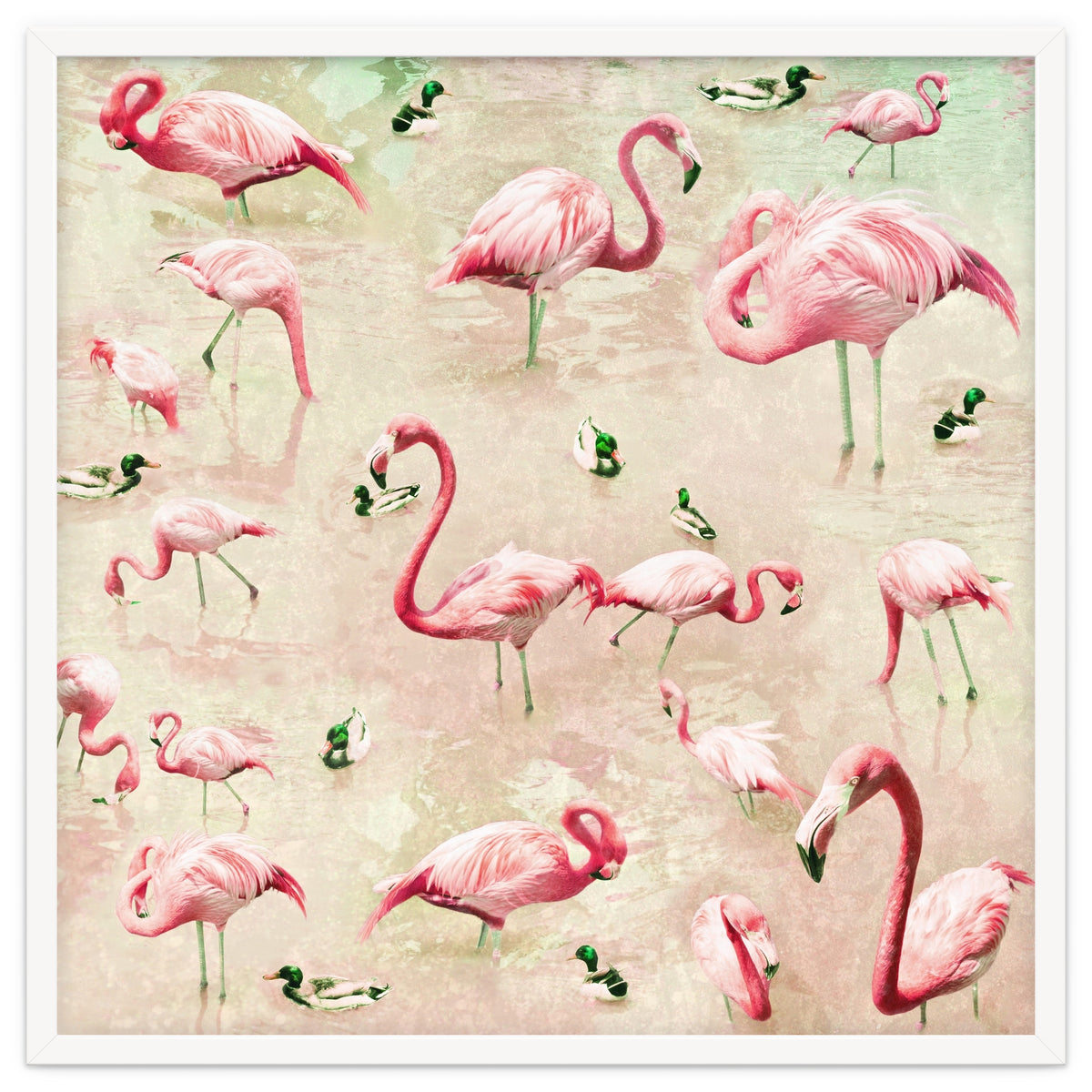 Flamingos Vintage Pink