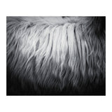 hair (Print Only) thumbnail