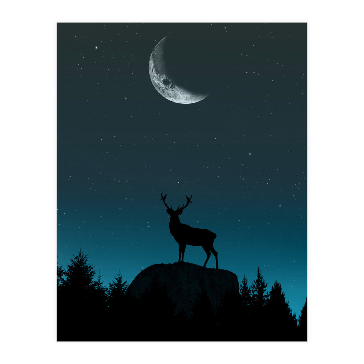 Wild Nature - Nocturne (Print Only)