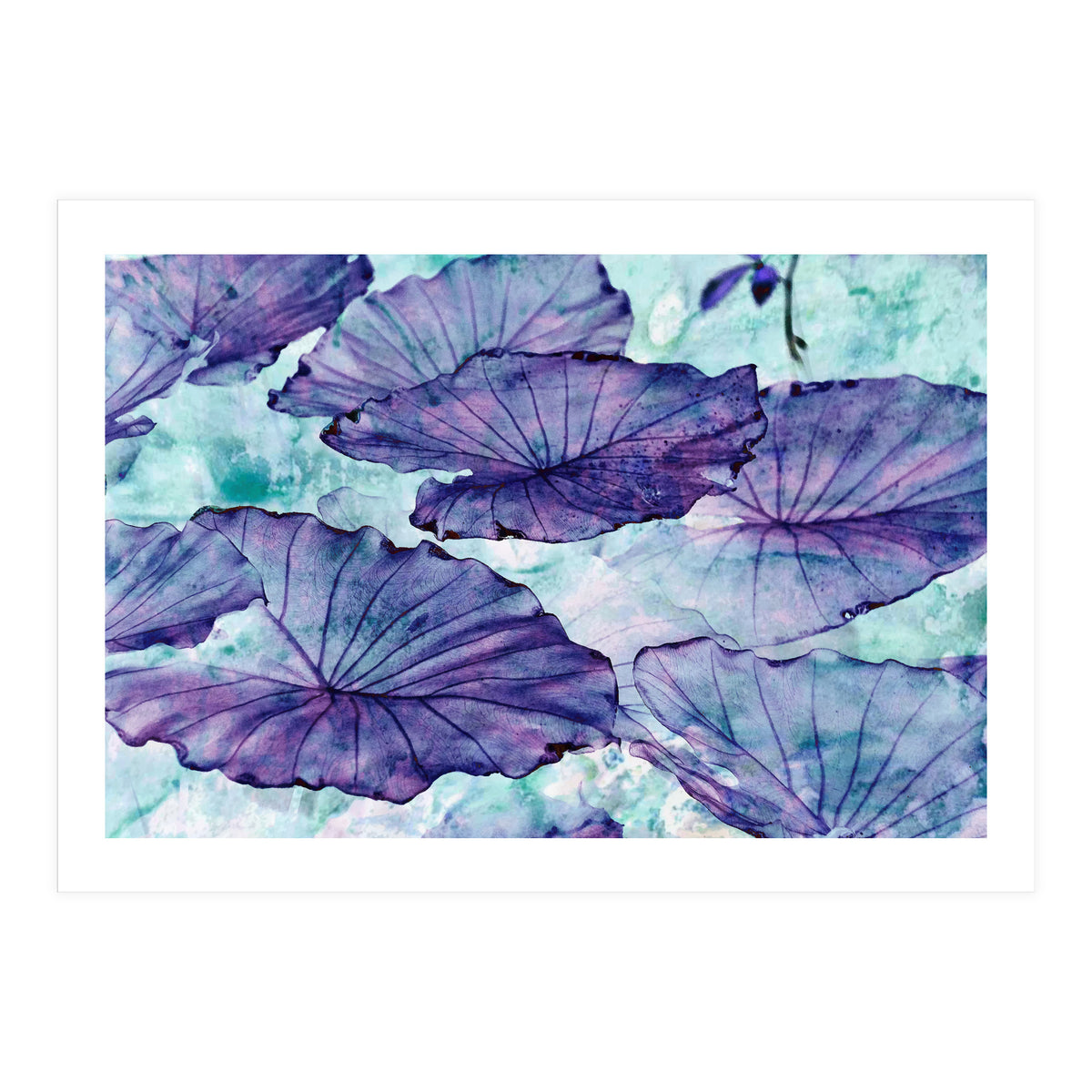 Botanical Surrealism (Print Only)