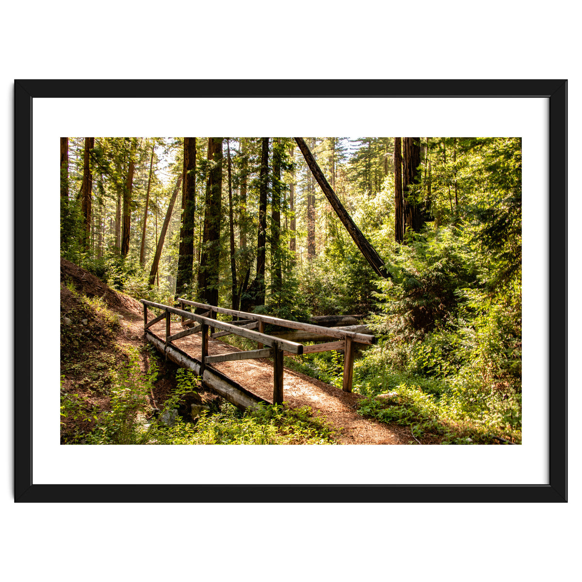 Ewoldsen Trail Bridge