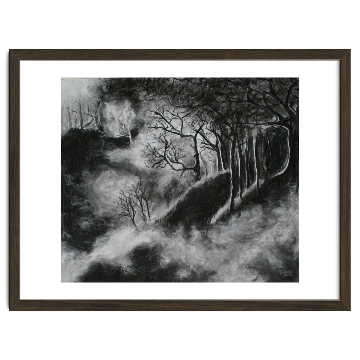Black and White Forest in Clouds