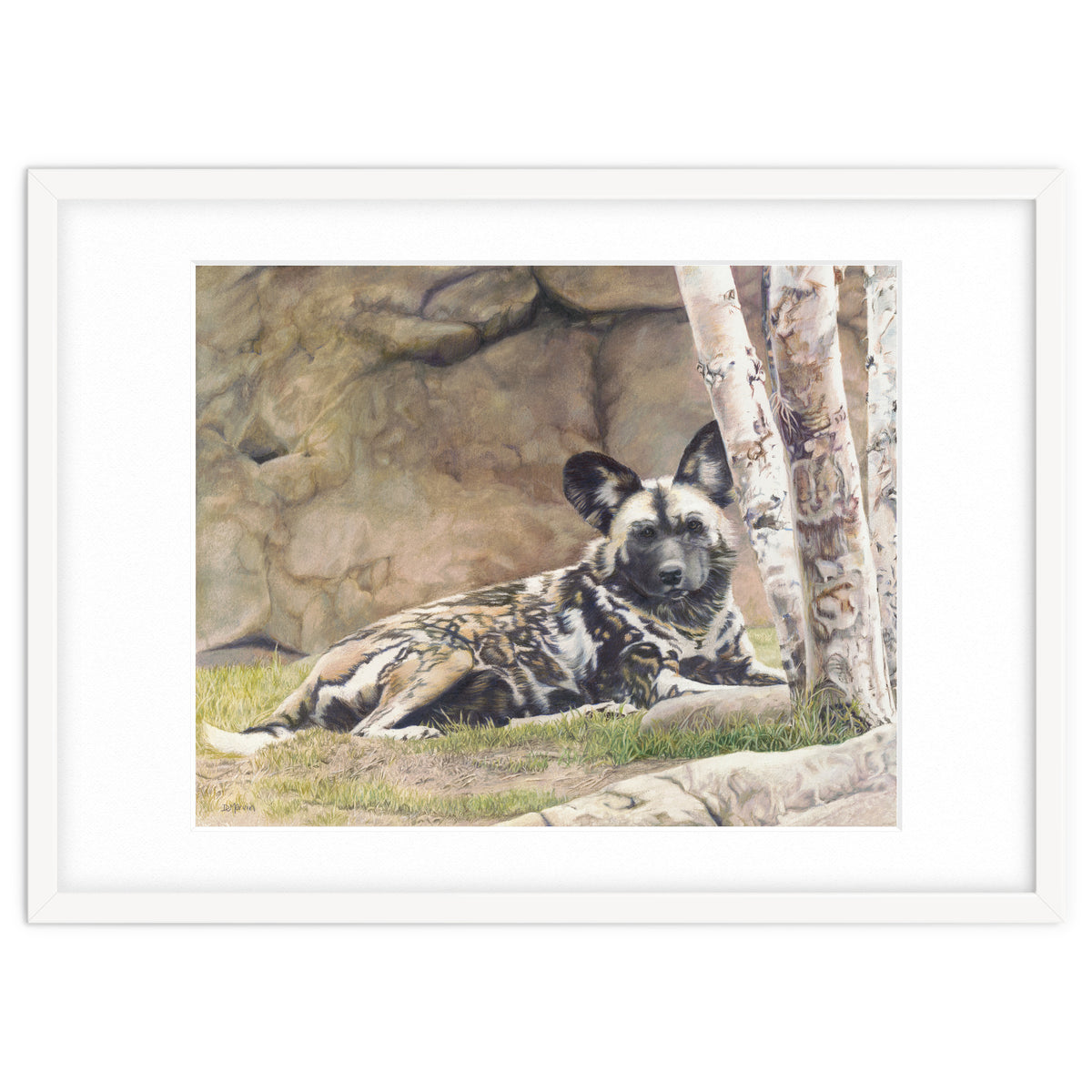 Afican Painted Dog IV - Imara
