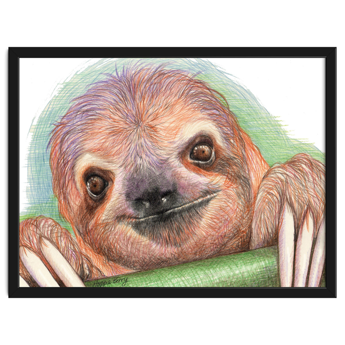 Smiling Sloth