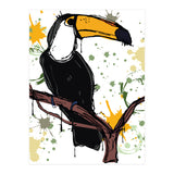 Toucan scribble sketch (Print Only) thumbnail