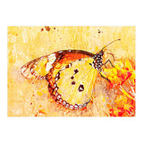 Butterfly On Aclepias (Print Only) thumbnail
