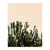 Cactus Vertical Color (Print Only) thumbnail