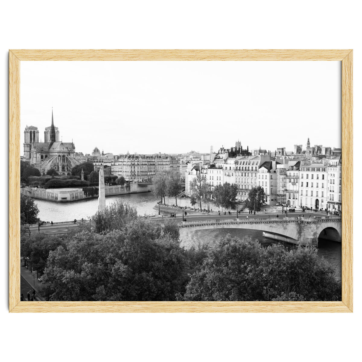 Paris View in Black and White