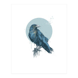 Blue Crow (Print Only) thumbnail