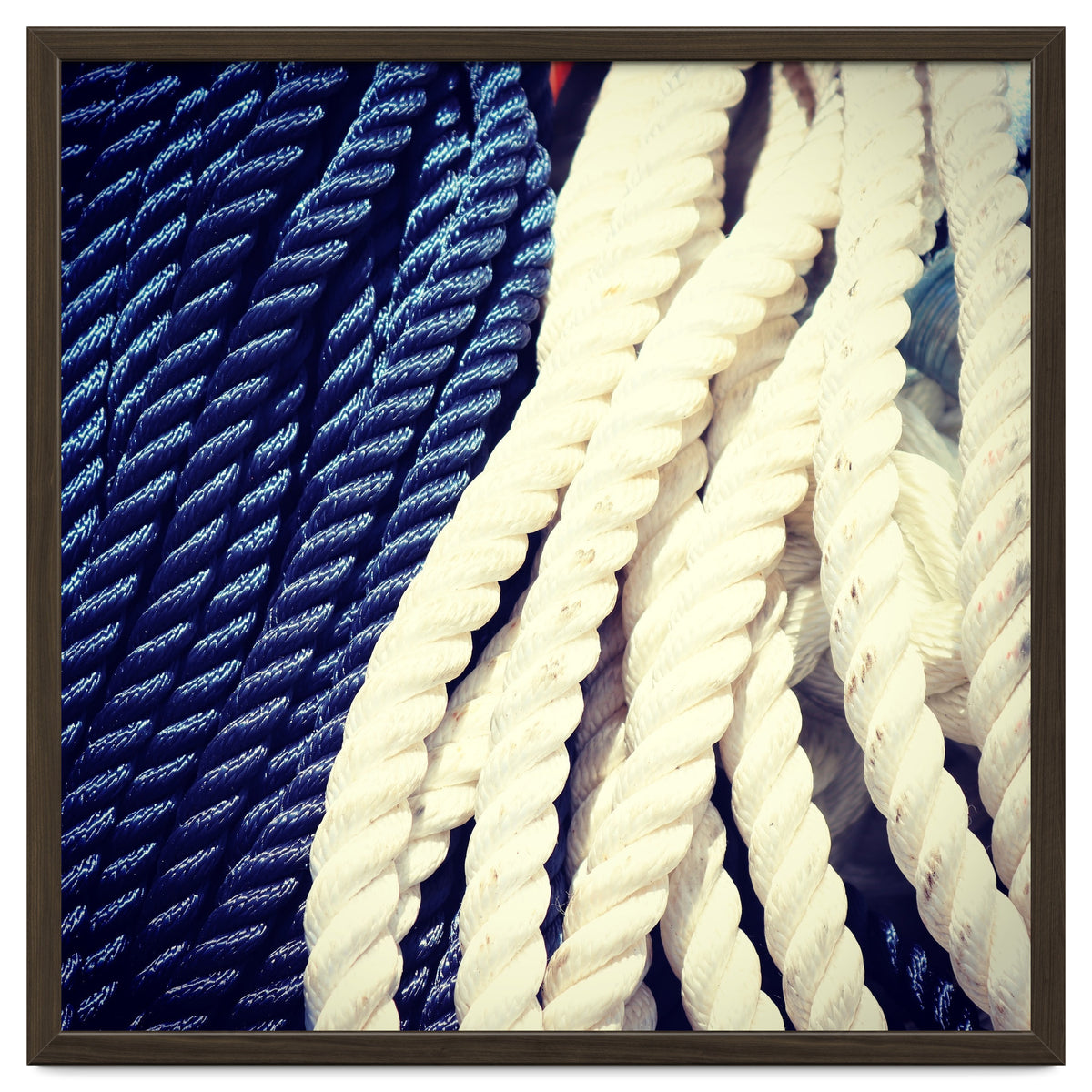 Blue and white fishing rope