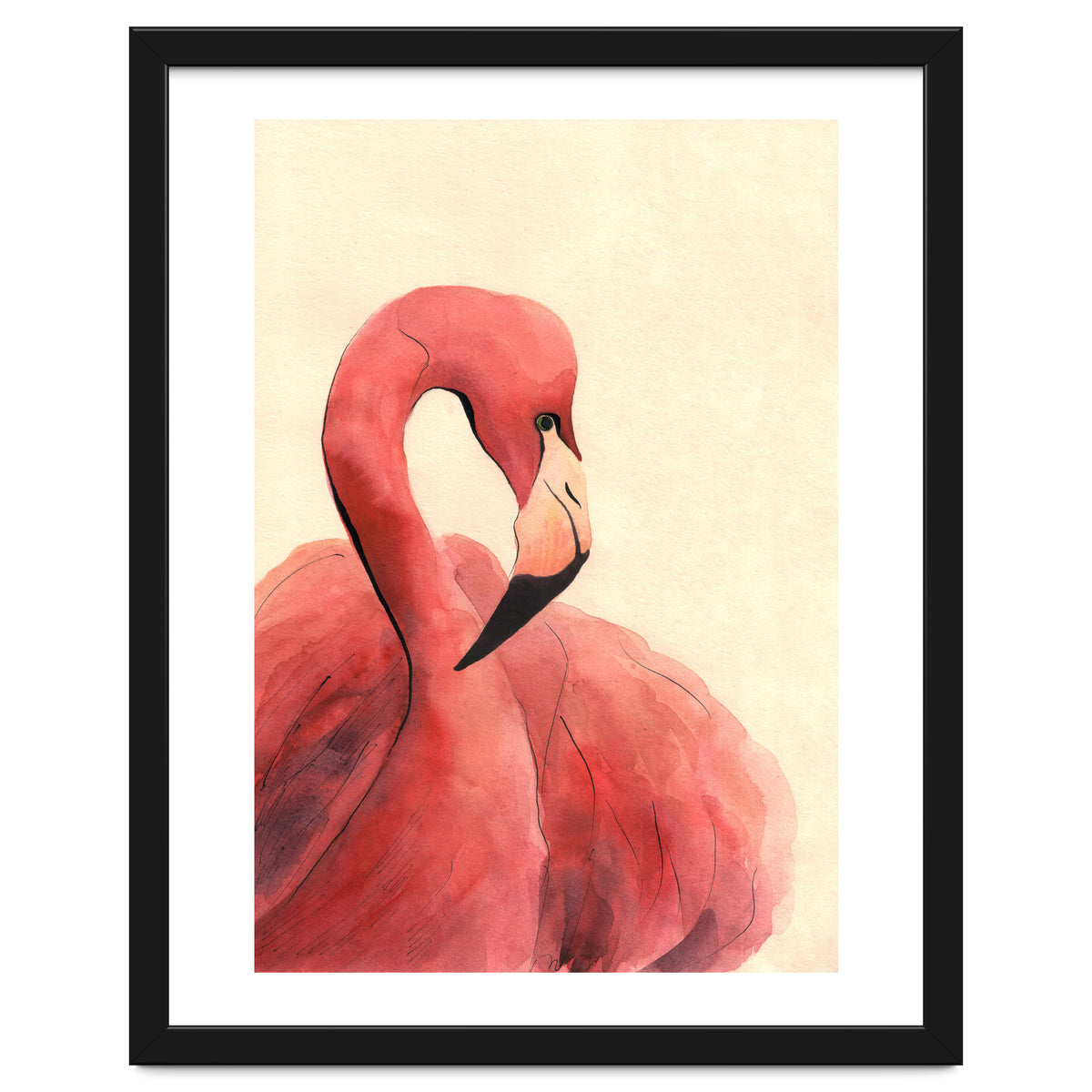 Flamingo