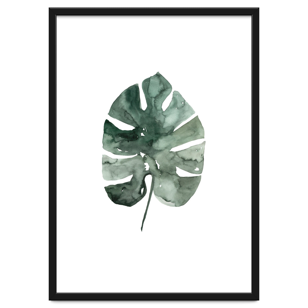 Botanical Illustration Monstera Leaf