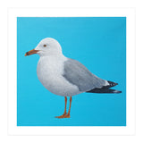 Seagull (Print Only) thumbnail