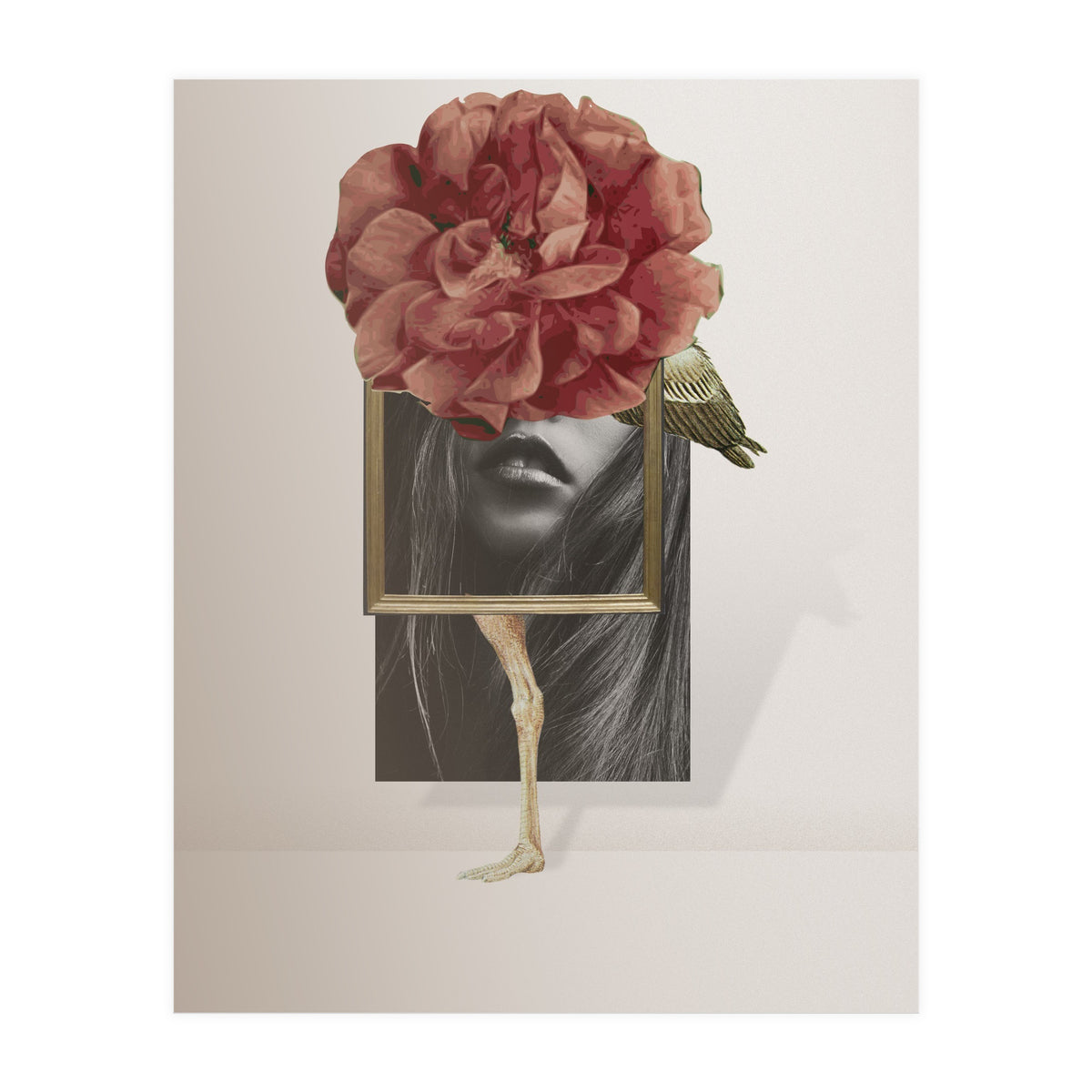 Dreamland Division · A (Print Only)