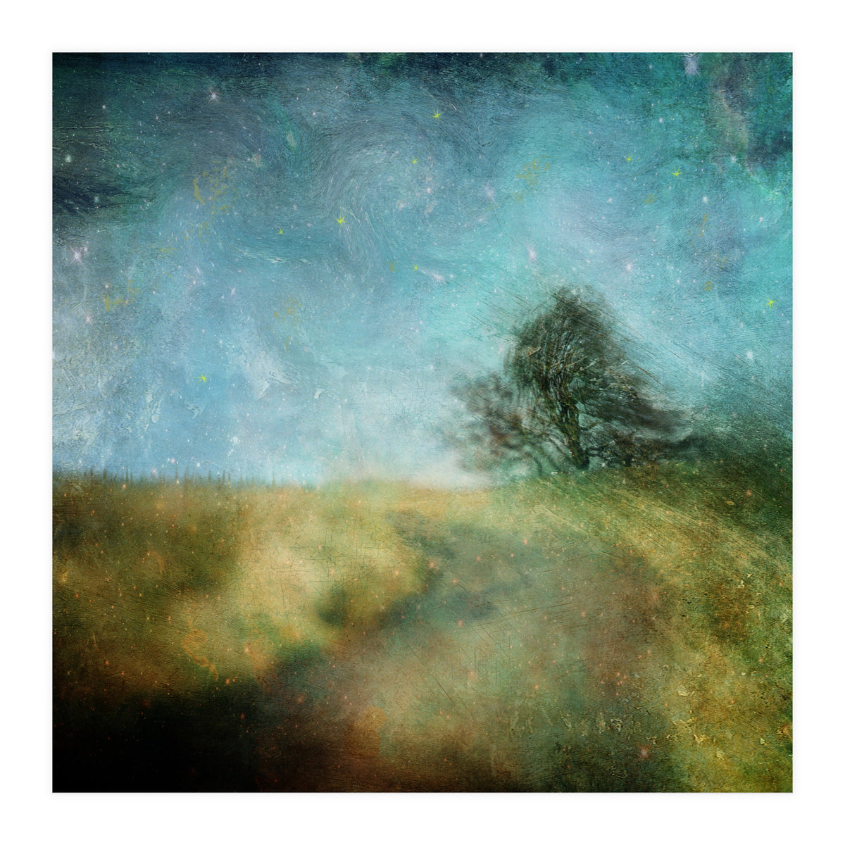 Dancing In The Wind (Print Only)