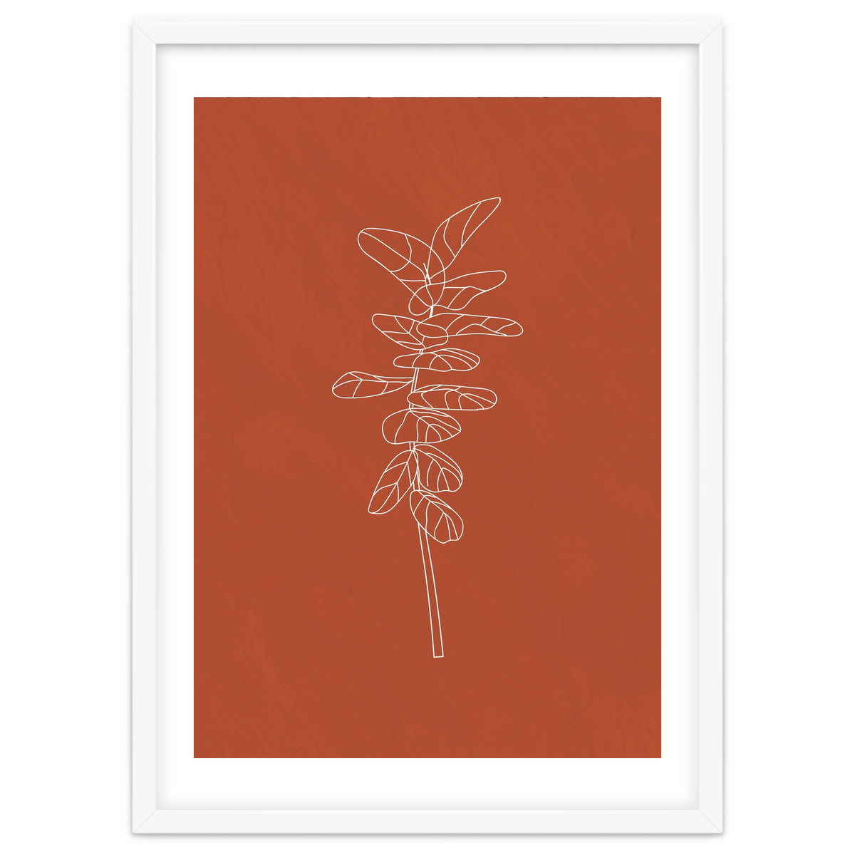 Line Art Botanical Terracotta