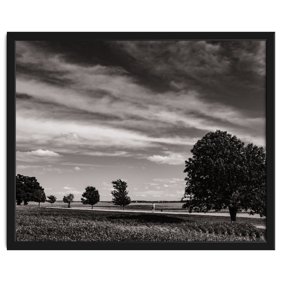 Country Road, Illinois