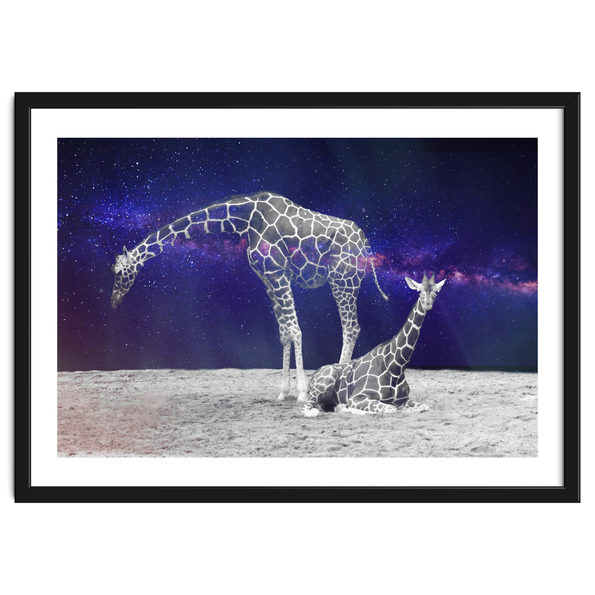 Giraffes on The Moon