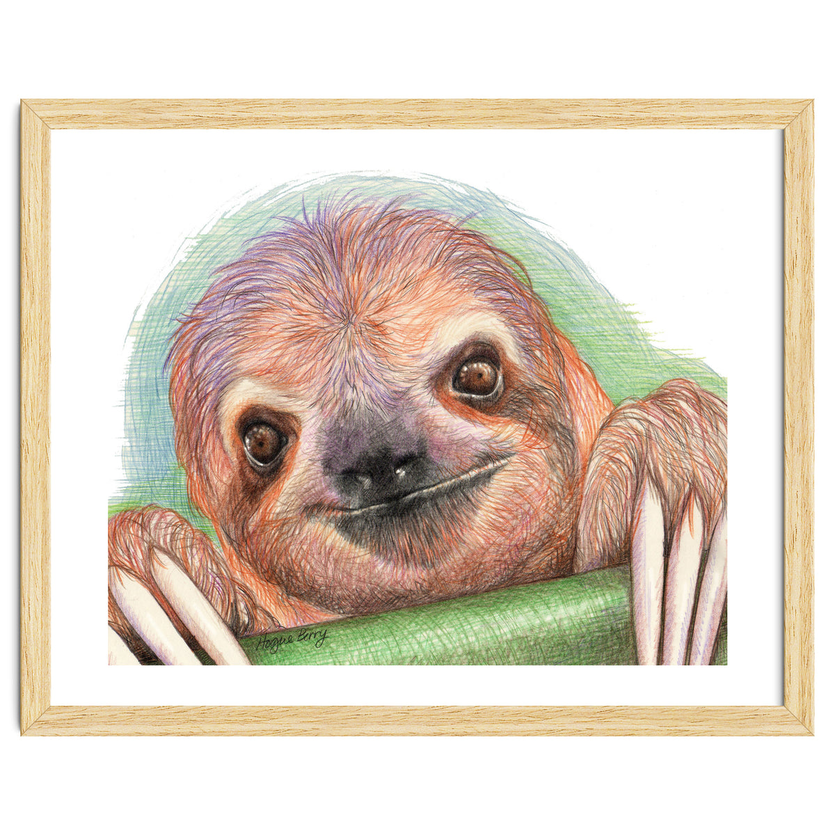 Smiling Sloth