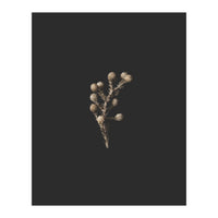 Gold Drops Botanicals (Print Only)