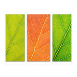 Autumn Leaves (Print Only) thumbnail