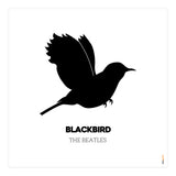 The Beatles Blackbird (Print Only) thumbnail