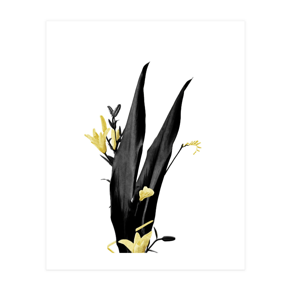 Flower Minimal Black And Gold 03 (Print Only)