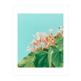 Carlie (Print Only) thumbnail
