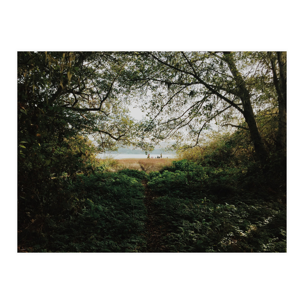 Tomales Bay (Print Only)